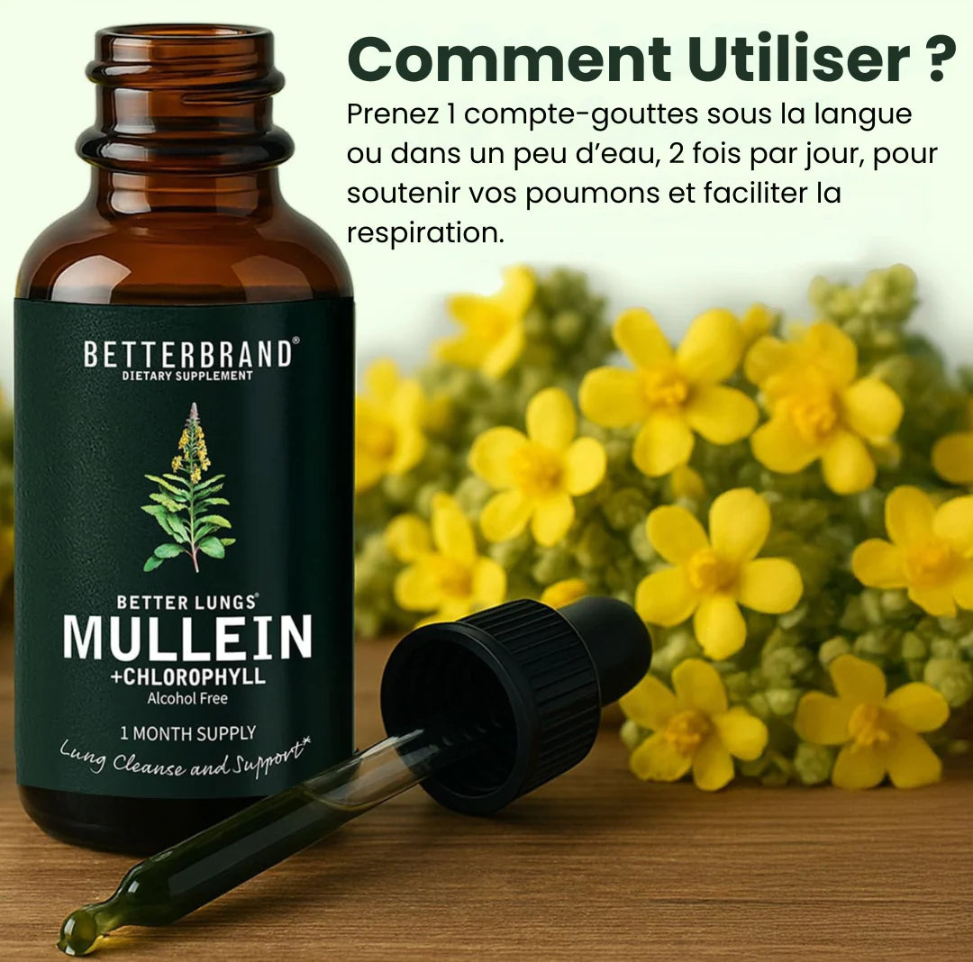 Les Gouttes pour les poumons à la molène